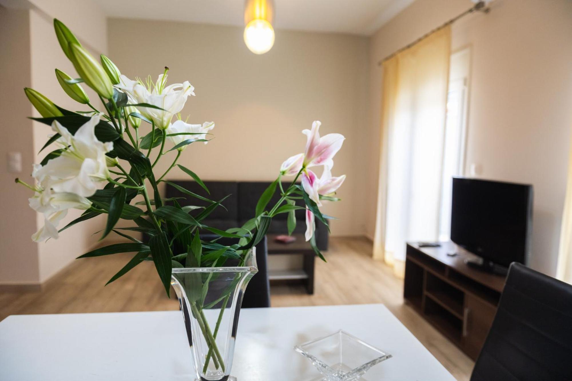 Central Luxurious Suite Near Lighthouse 亚历山德鲁波利斯 外观 照片